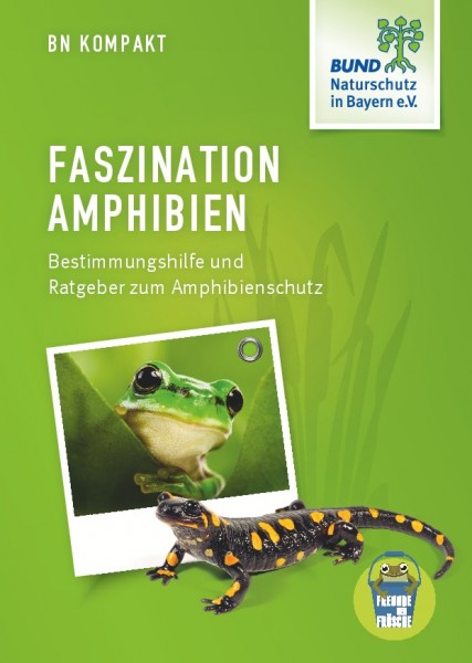 Broschüre "Faszination Amphibien"