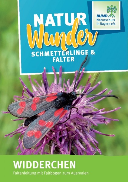 Infobogen "Natur Wunder Schmetterlinge -