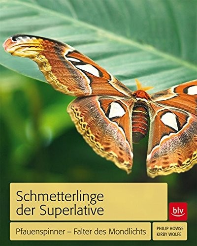 Schmetterlinge der Superlative (%)