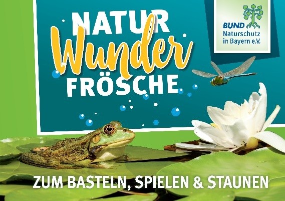 Infobogen "Natur Wunder Frösche"