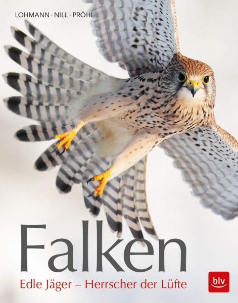 Falken - Edle Jäger - Herrscher der Lüfte