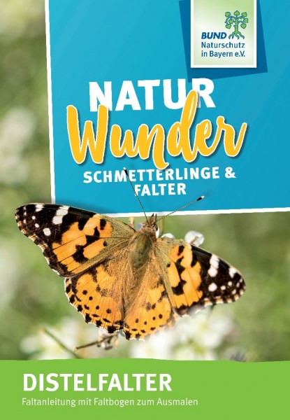 Infobogen "Natur Wunder Schmetterlinge -