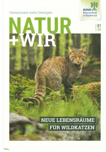 Natur+Wir 1/2024 "Neue Lebensräume für Wildkatzen"